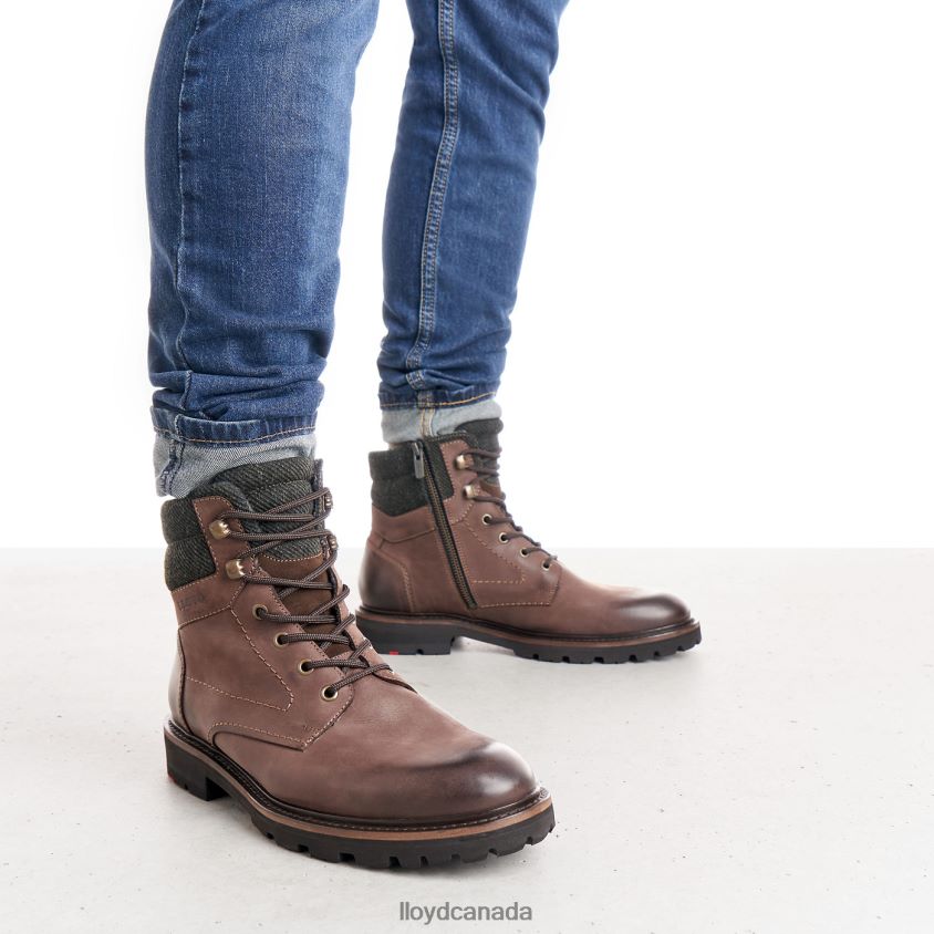 FLAVIO LLOYD Men brown R084ZF545 Shoes