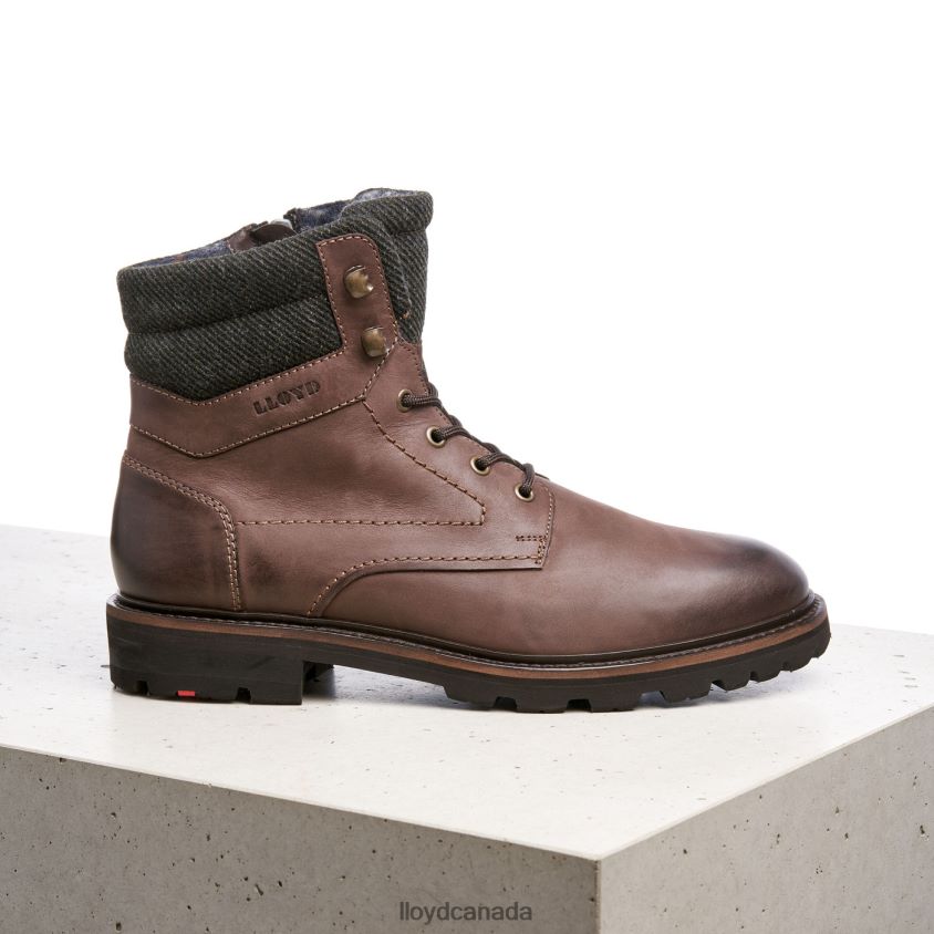 FLAVIO LLOYD Men brown R084ZF545 Shoes