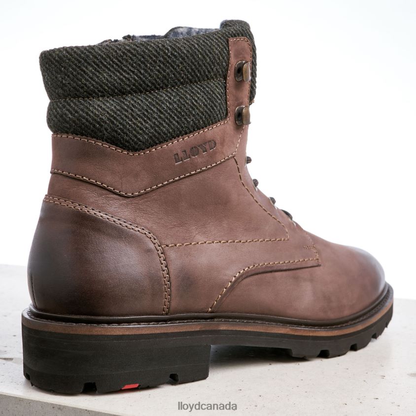 FLAVIO LLOYD Men brown R084ZF545 Shoes