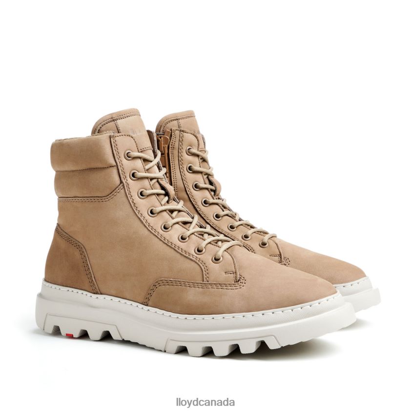 FOREST LLOYD Men brown R084ZF487 Shoes