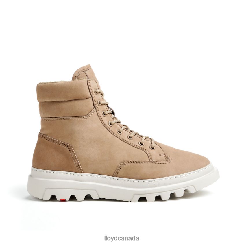 FOREST LLOYD Men brown R084ZF487 Shoes