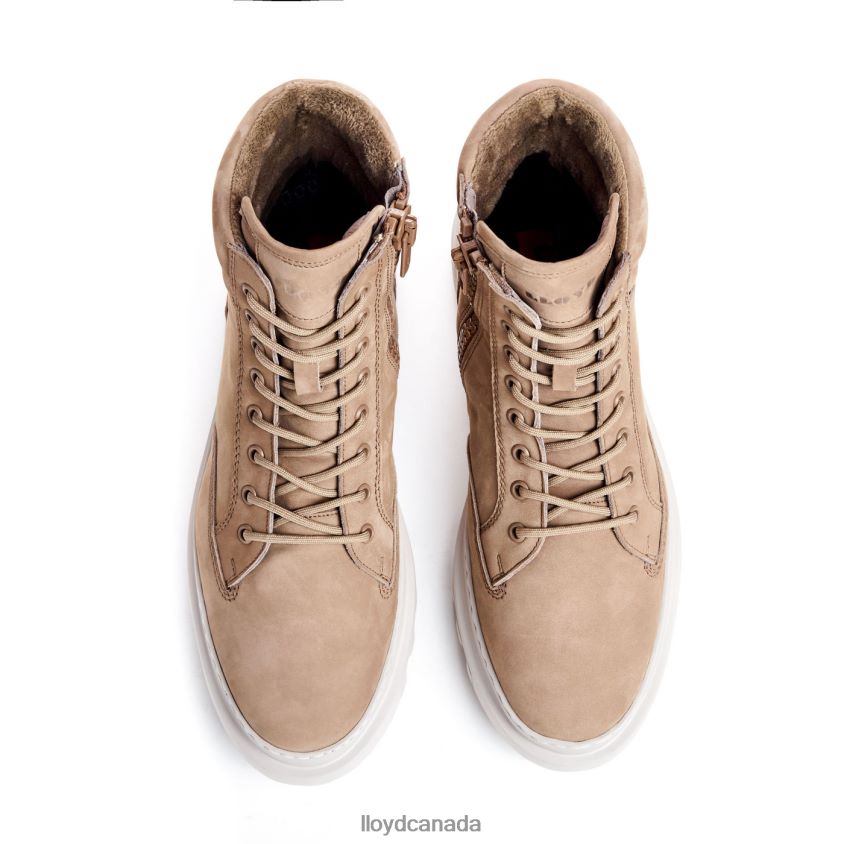FOREST LLOYD Men brown R084ZF487 Shoes