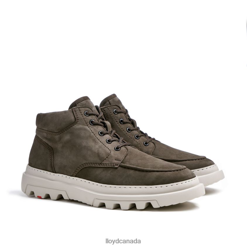 FORMAN LLOYD Men brown R084ZF455 Shoes