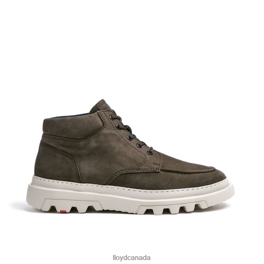 FORMAN LLOYD Men brown R084ZF455 Shoes