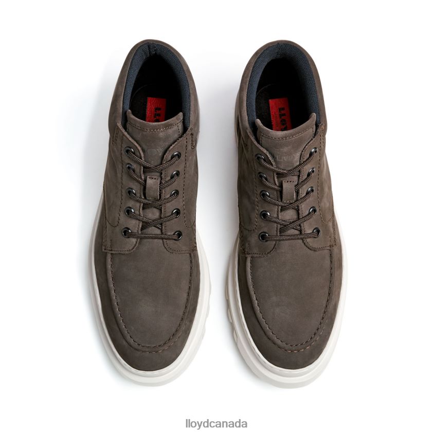 FORMAN LLOYD Men brown R084ZF455 Shoes