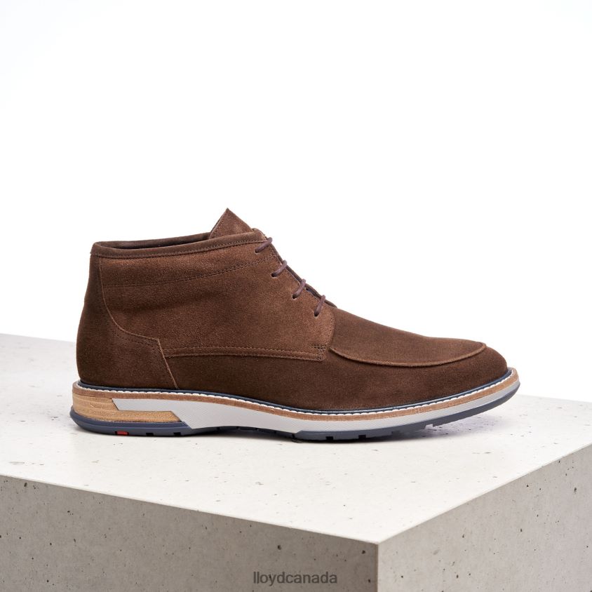GIANNI LLOYD Men brown R084ZF555 Shoes
