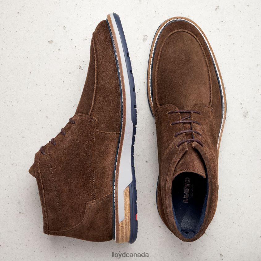 GIANNI LLOYD Men brown R084ZF555 Shoes