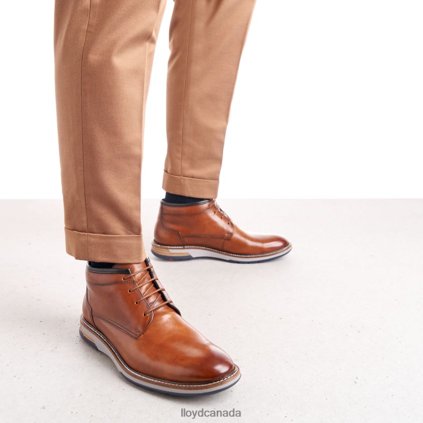GIJON LLOYD Men brown R084ZF556 Shoes