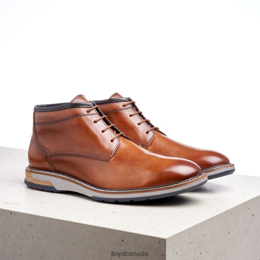 GIJON LLOYD Men brown R084ZF556 Shoes
