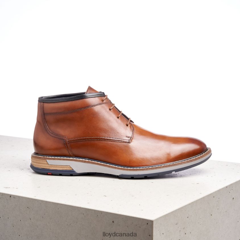 GIJON LLOYD Men brown R084ZF556 Shoes