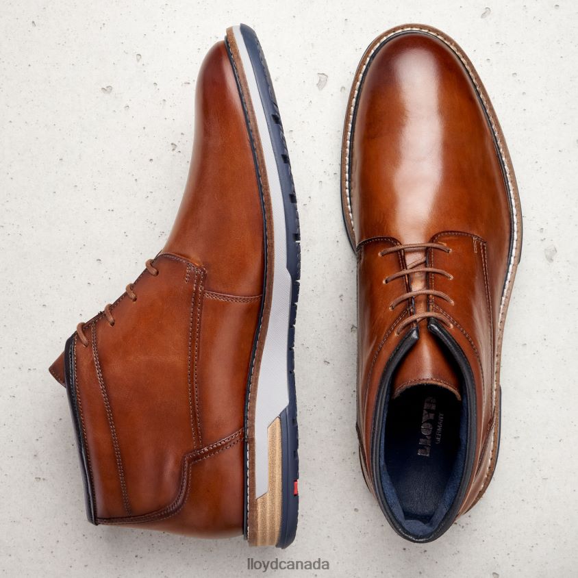 GIJON LLOYD Men brown R084ZF556 Shoes