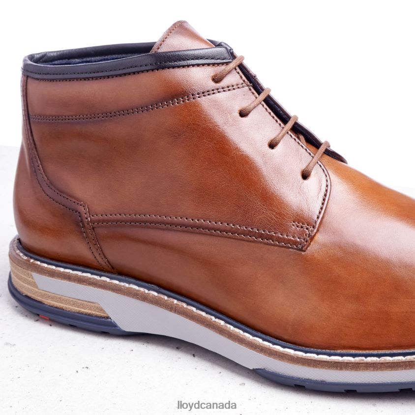 GIJON LLOYD Men brown R084ZF556 Shoes