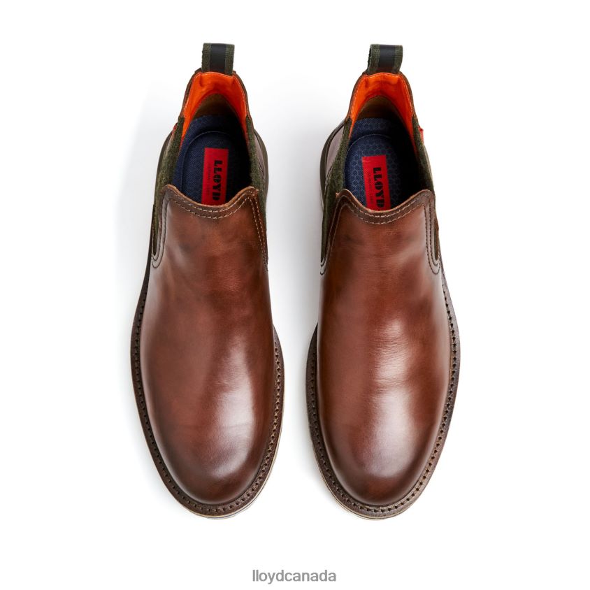GLASGOW LLOYD Men brown R084ZF472 Shoes