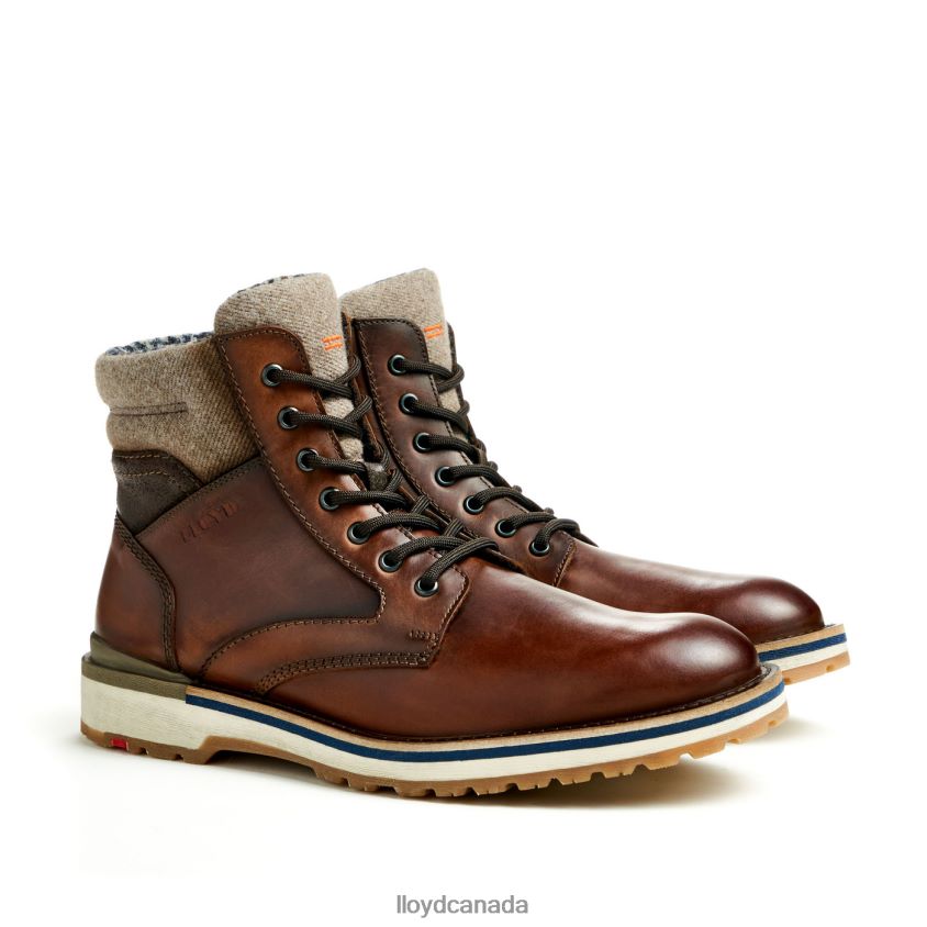 GLENN LLOYD Men brown R084ZF482 Shoes