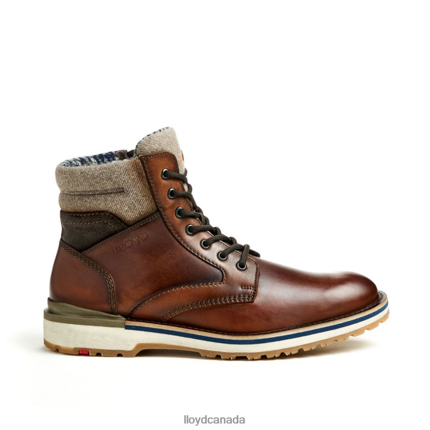 GLENN LLOYD Men brown R084ZF482 Shoes