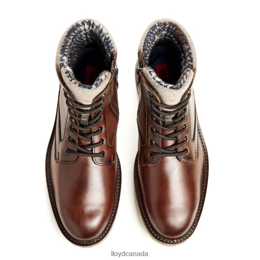 GLENN LLOYD Men brown R084ZF482 Shoes