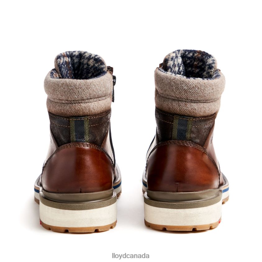 GLENN LLOYD Men brown R084ZF482 Shoes