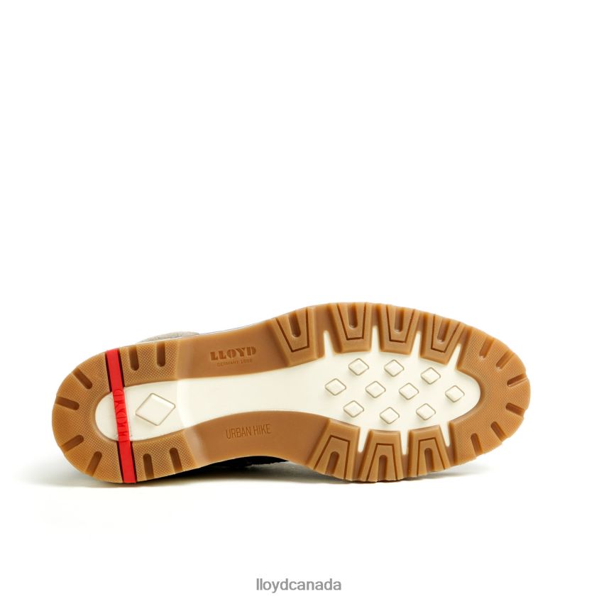 GLENN LLOYD Men brown R084ZF482 Shoes
