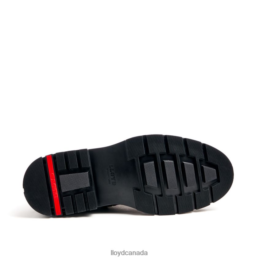 GREGORY LLOYD Men black R084ZF490 Shoes