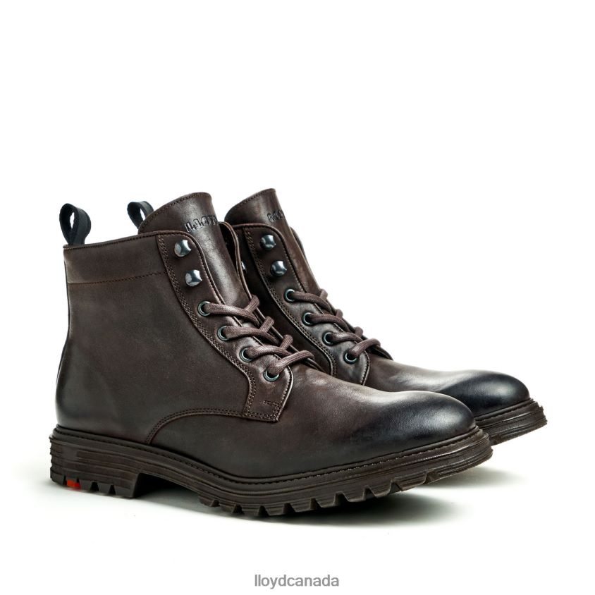 HALIFAX LLOYD Men brown R084ZF483 Shoes