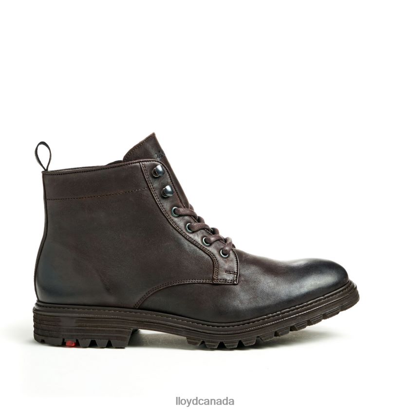 HALIFAX LLOYD Men brown R084ZF483 Shoes