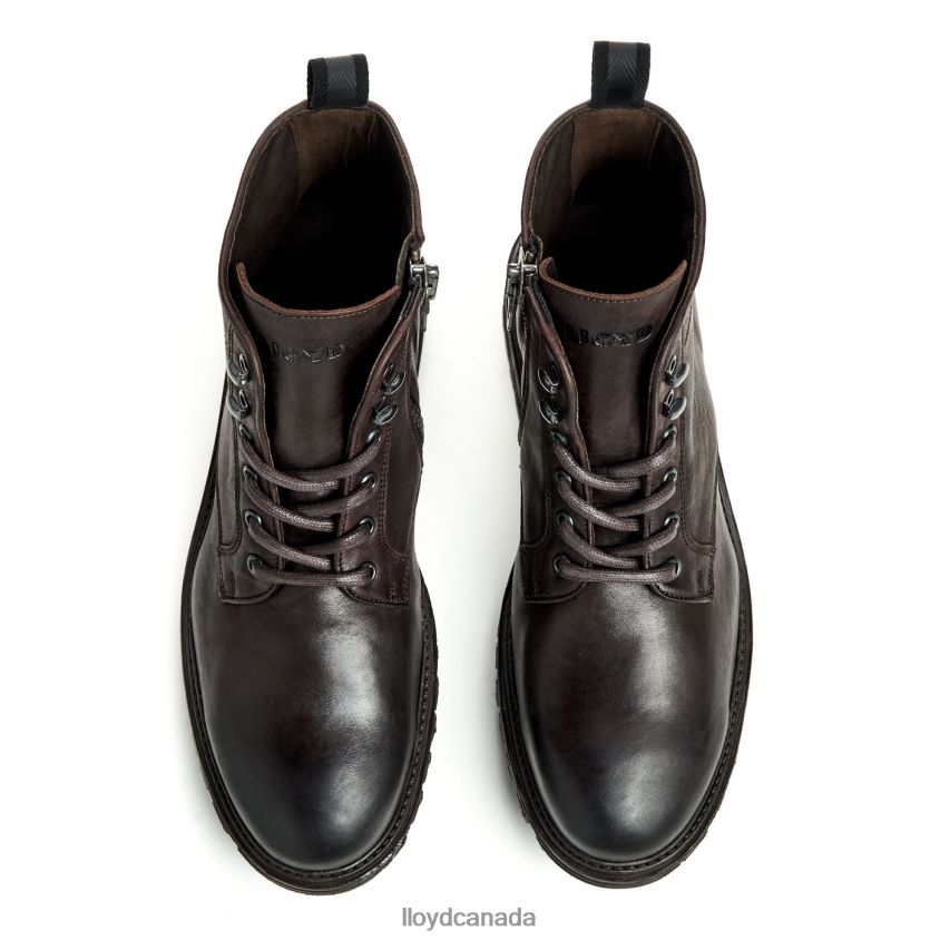 HALIFAX LLOYD Men brown R084ZF483 Shoes