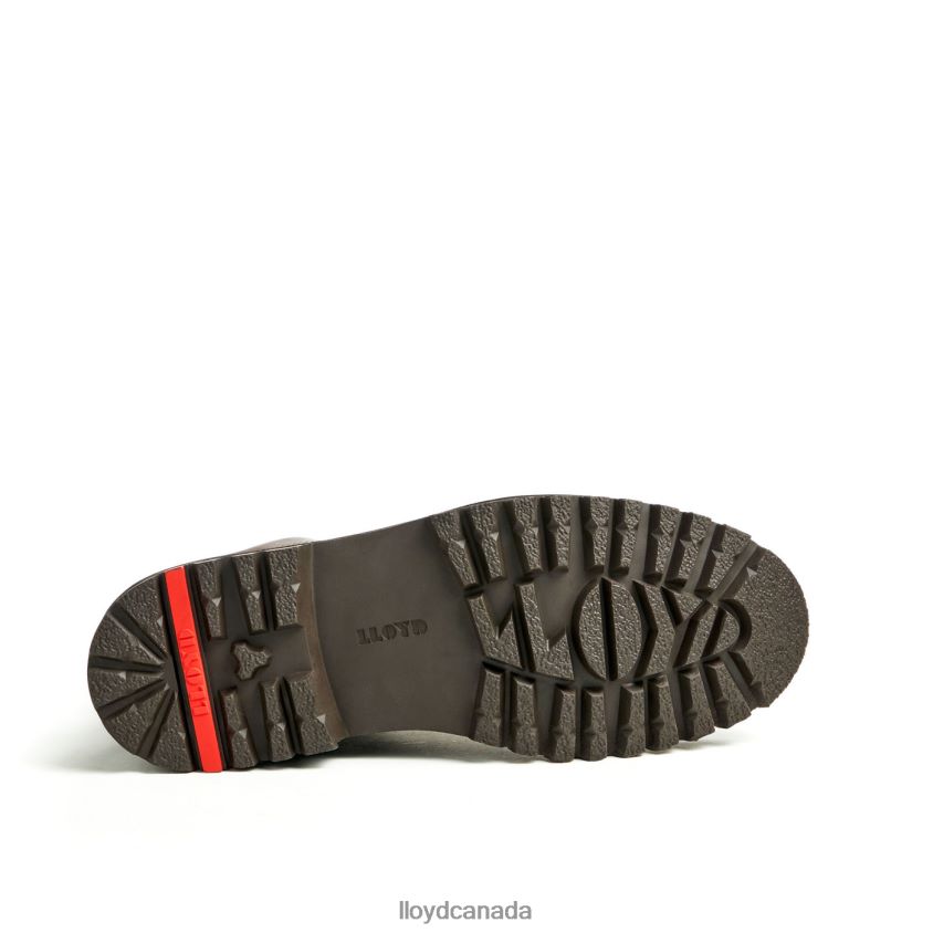HALIFAX LLOYD Men brown R084ZF483 Shoes