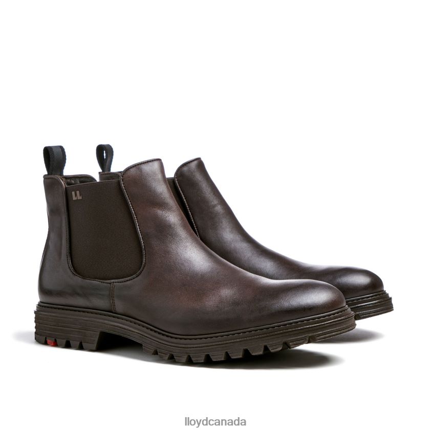 HARWICH LLOYD Men brown R084ZF478 Shoes