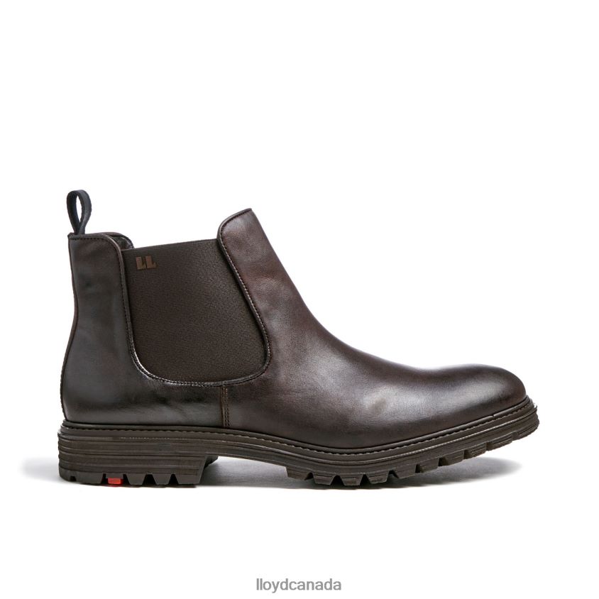HARWICH LLOYD Men brown R084ZF478 Shoes