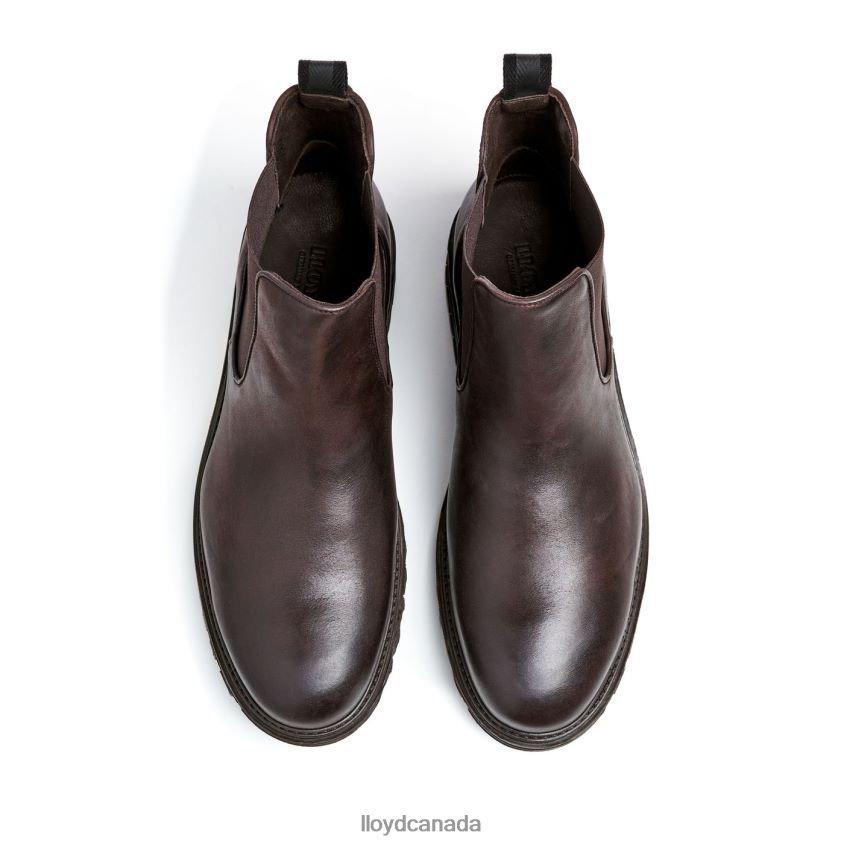 HARWICH LLOYD Men brown R084ZF478 Shoes