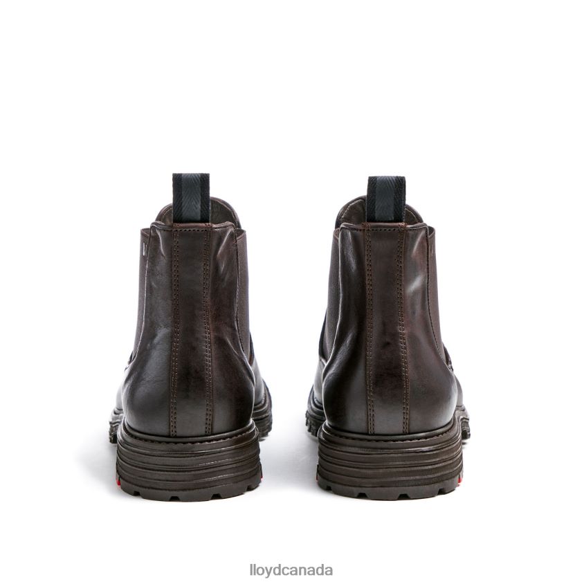 HARWICH LLOYD Men brown R084ZF478 Shoes
