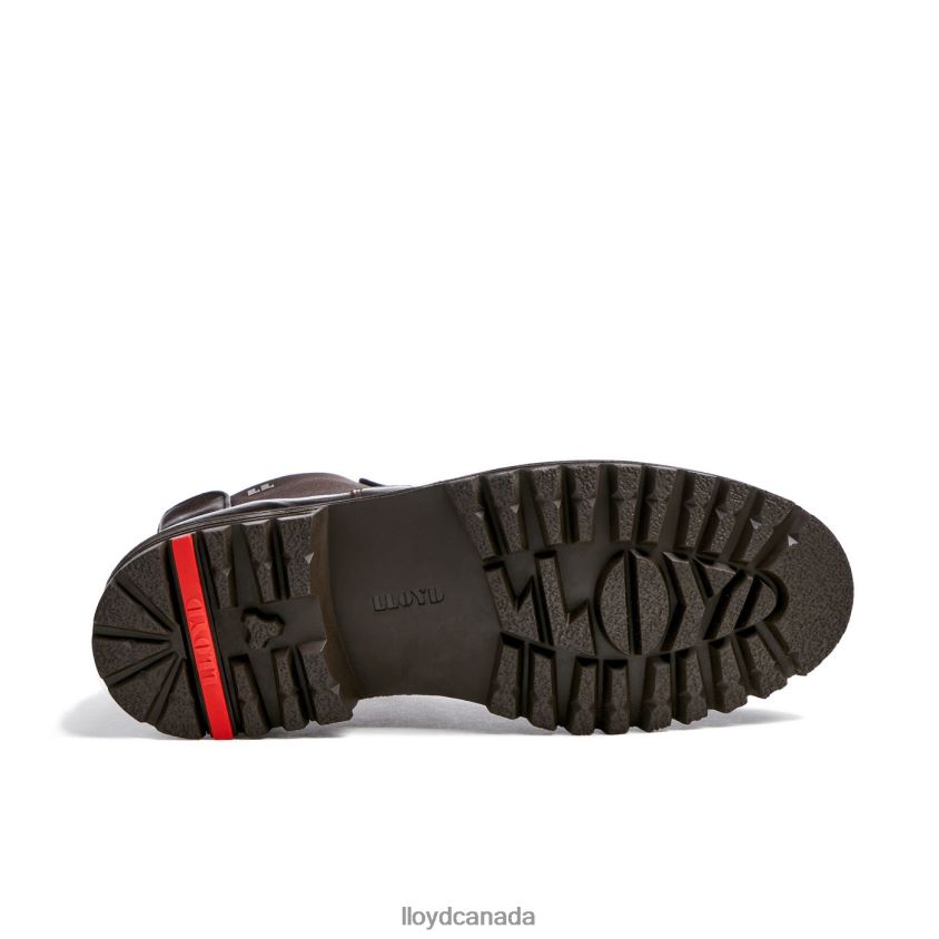 HARWICH LLOYD Men brown R084ZF478 Shoes