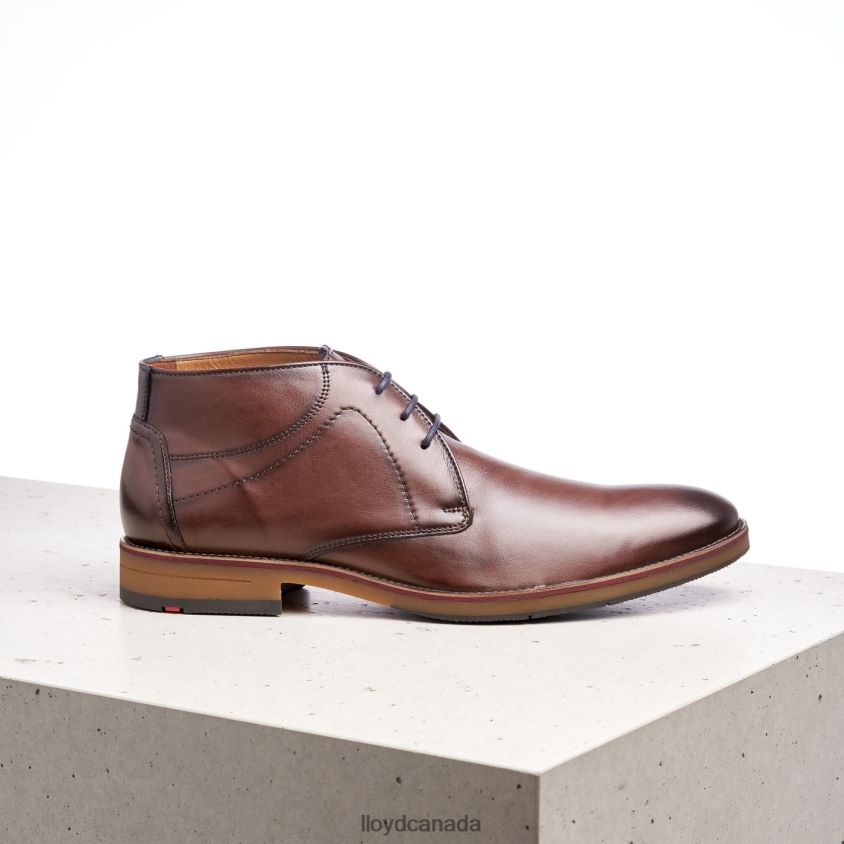 HASTINGS LLOYD Men brown R084ZF566 Shoes