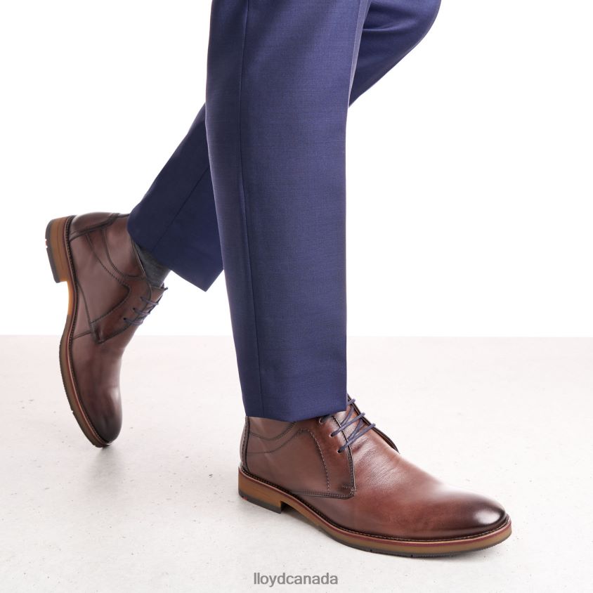 HASTINGS LLOYD Men brown R084ZF566 Shoes