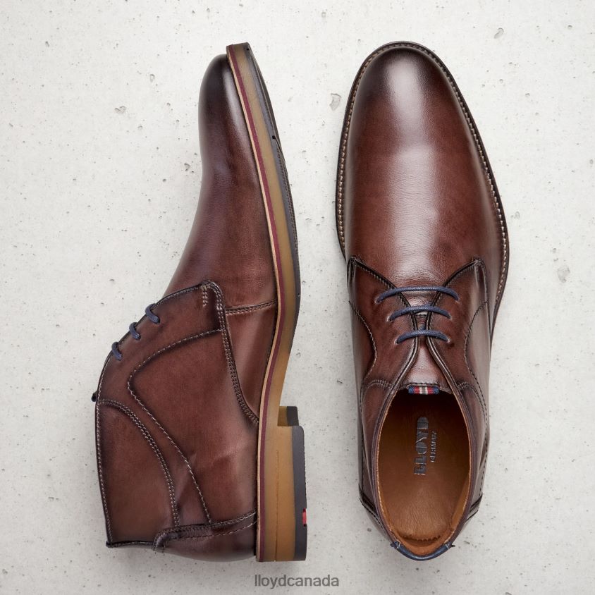 HASTINGS LLOYD Men brown R084ZF566 Shoes