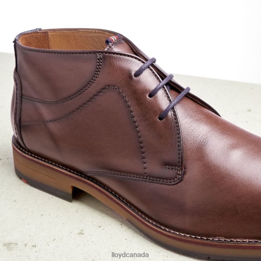 HASTINGS LLOYD Men brown R084ZF566 Shoes