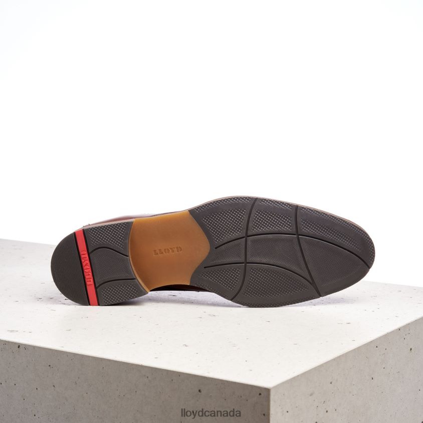 HASTINGS LLOYD Men brown R084ZF566 Shoes