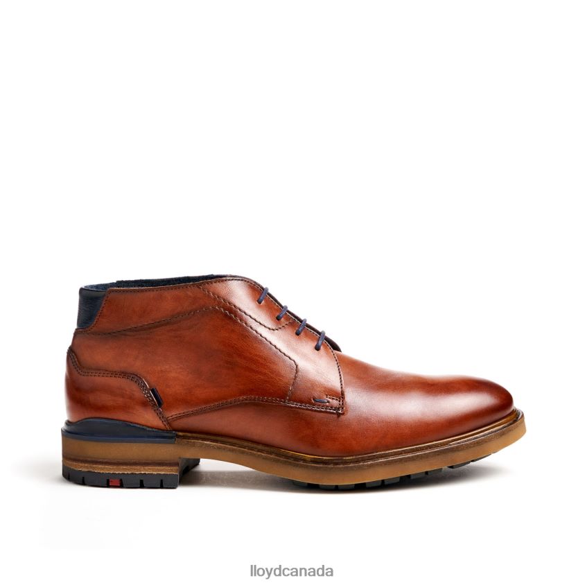 HENGELO LLOYD Men brown R084ZF463 Shoes