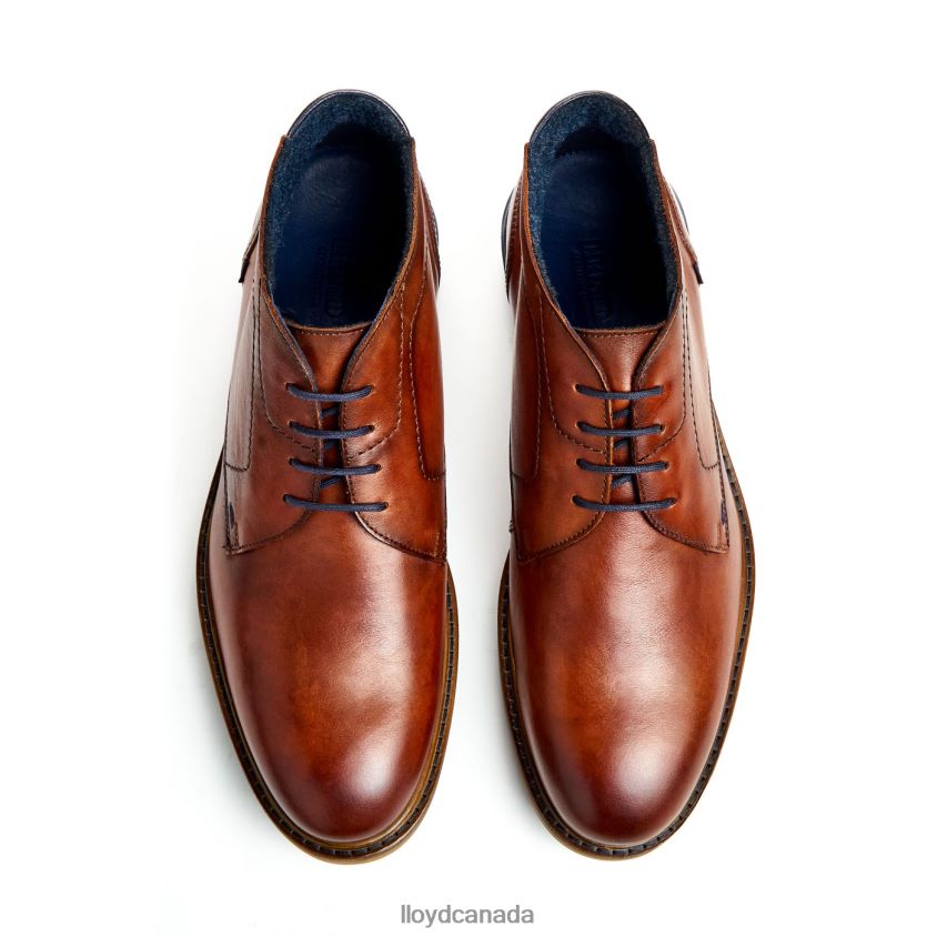 HENGELO LLOYD Men brown R084ZF463 Shoes