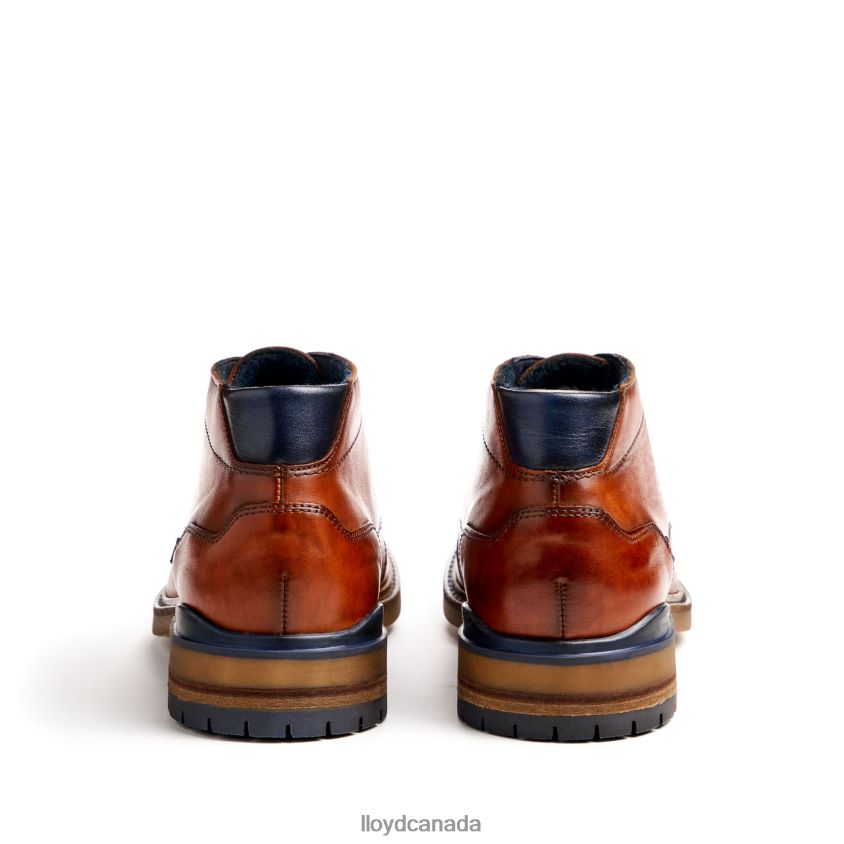 HENGELO LLOYD Men brown R084ZF463 Shoes