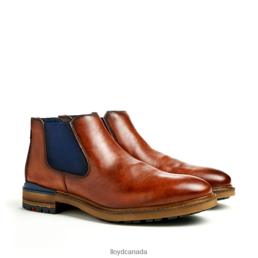 HENRY LLOYD Men brown R084ZF464 Shoes