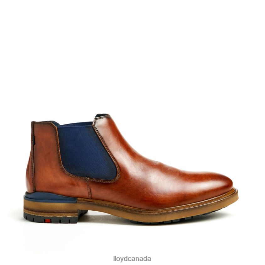 HENRY LLOYD Men brown R084ZF464 Shoes