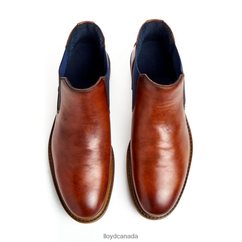 HENRY LLOYD Men brown R084ZF464 Shoes