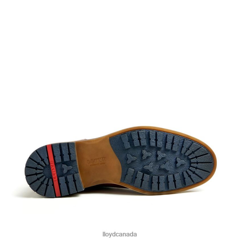 HENRY LLOYD Men brown R084ZF464 Shoes
