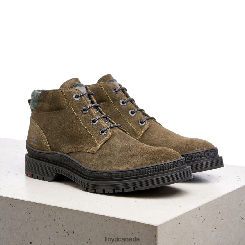 HOLDEN LLOYD Men brown R084ZF557 Shoes