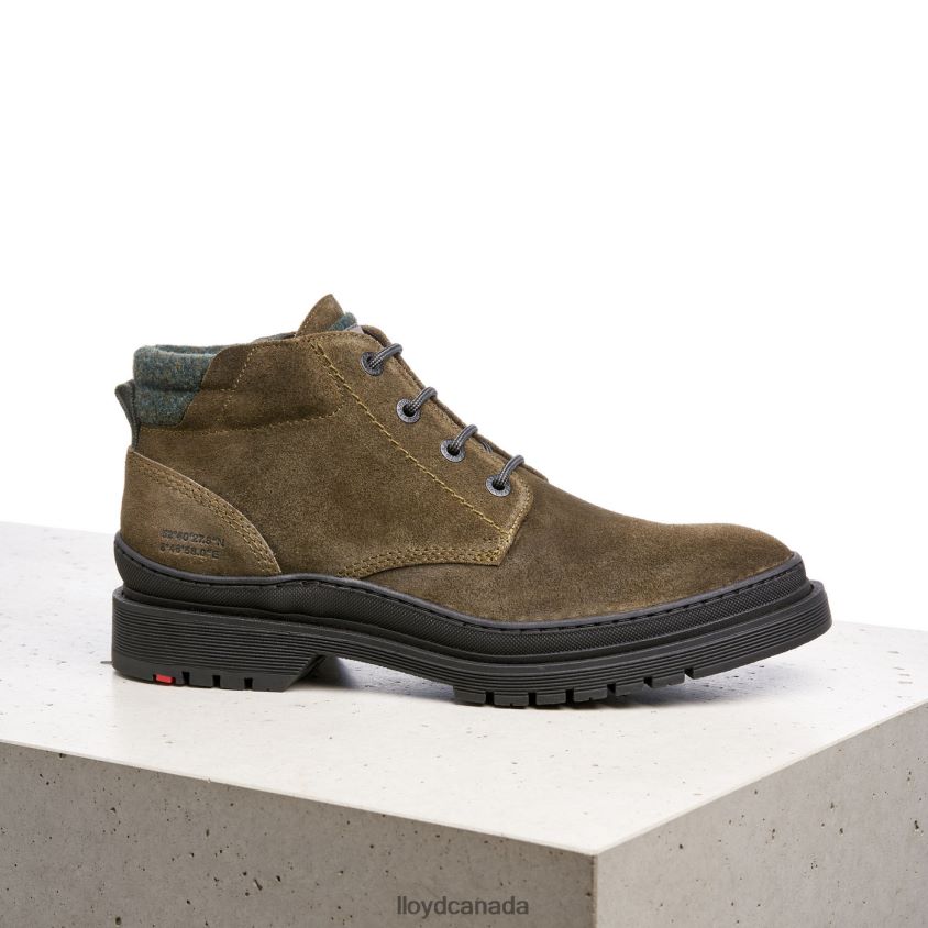 HOLDEN LLOYD Men brown R084ZF557 Shoes