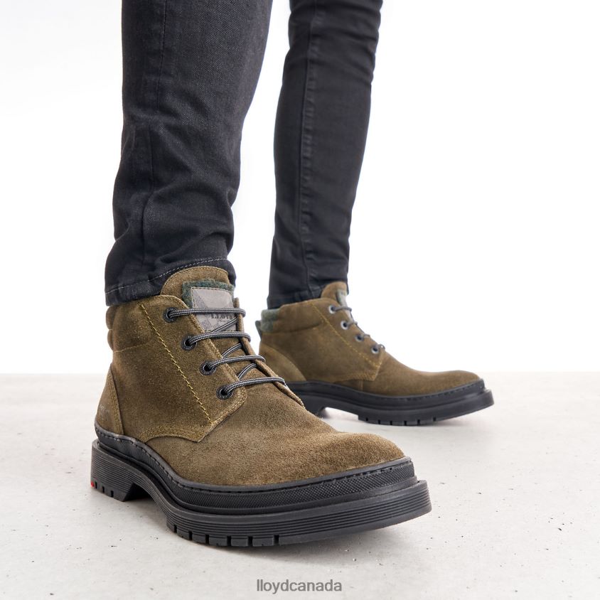 HOLDEN LLOYD Men brown R084ZF557 Shoes