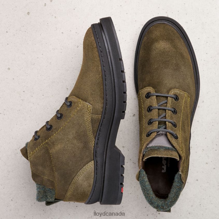 HOLDEN LLOYD Men brown R084ZF557 Shoes