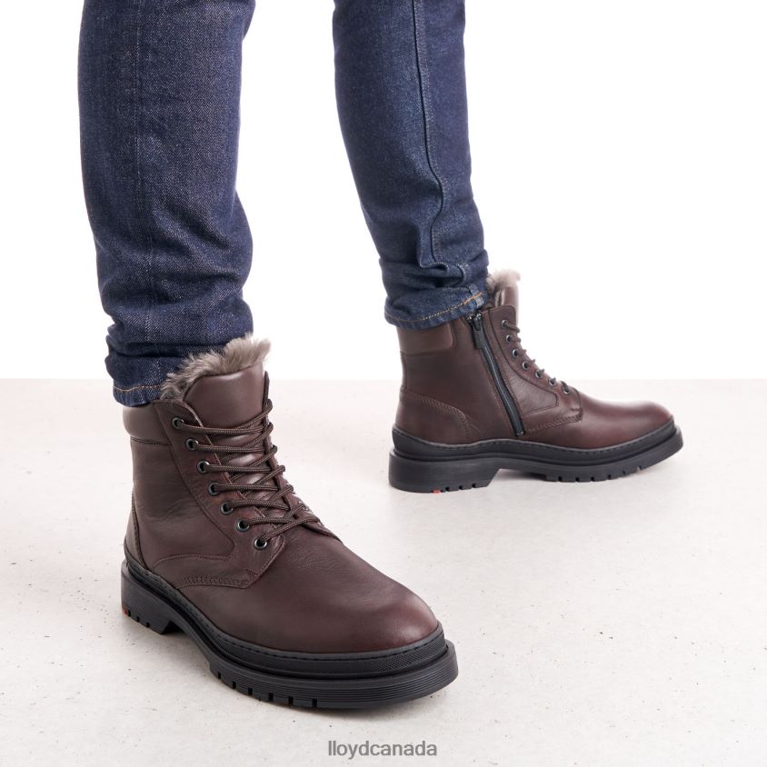 HOLLIS LLOYD Men brown R084ZF509 Shoes
