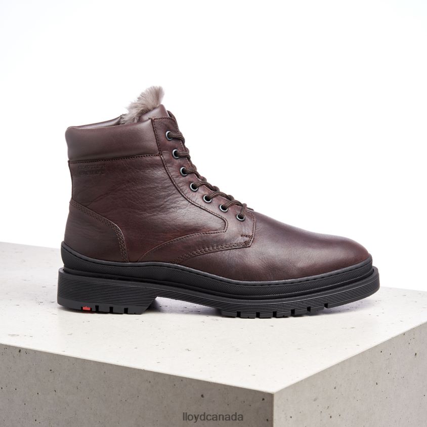 HOLLIS LLOYD Men brown R084ZF509 Shoes